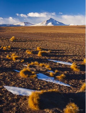 LICANCABUR VOLCANO AT DAWN, BOLIVIA