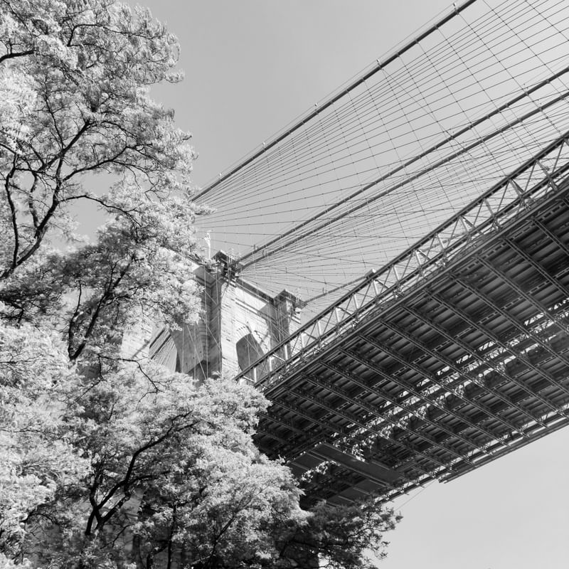 NEW YORK - BROOKLYN BRIDGE DQPB