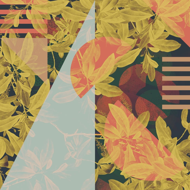 GEOMETRIA FOLHAS E ABSTRATO AMARELO