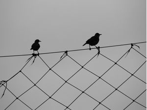 MANTENDO O EQUILIBRIO