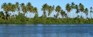 MASSAGUEIRA PH