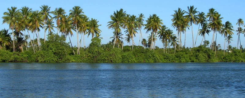 MASSAGUEIRA PH