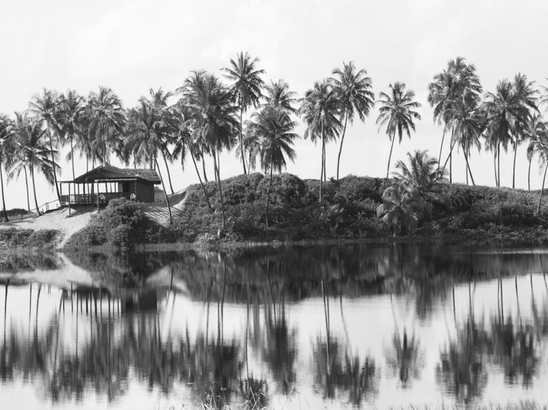 CABANA COM COQUEIROS - PB