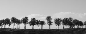 PANORÂMICA COQUEIROS PB