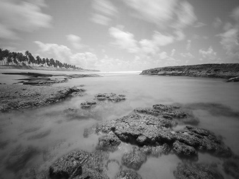 PAISAGEM PRAIA LONGA EXPOSIÇÃO
