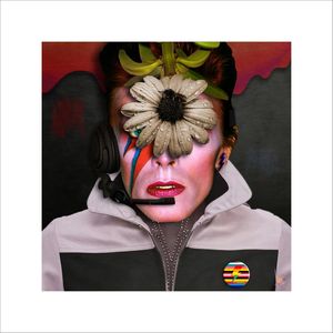 DAVID BOWIE THE PRETTIEST STAR