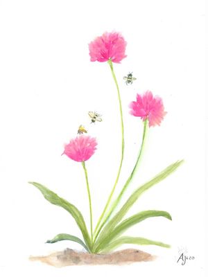 FLOR ROSA E ABELHA