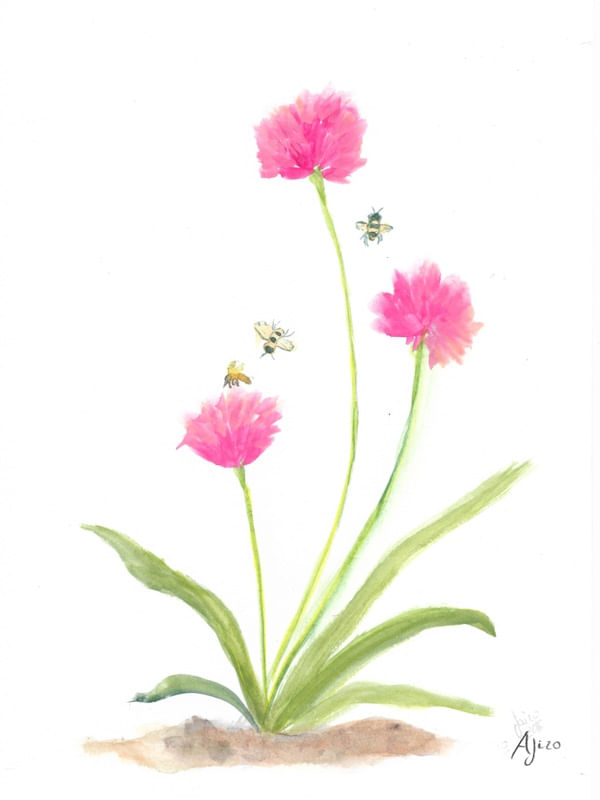 FLOR ROSA E ABELHA