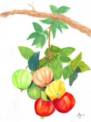 PITANGAS COLORIDAS