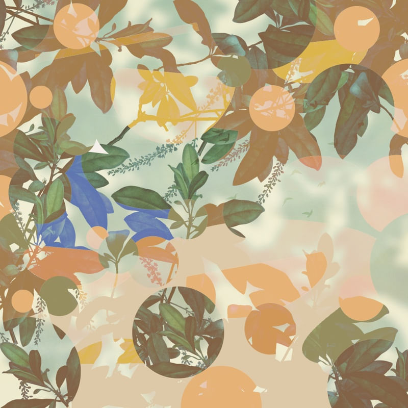 ESTAMPA TROPICAL 01