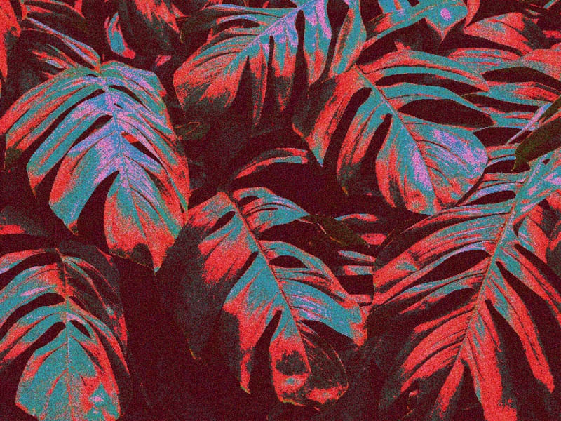 MOSAICO DE FOLHAS TROPICAIS