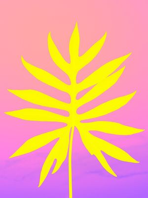 FLORAL POP ART