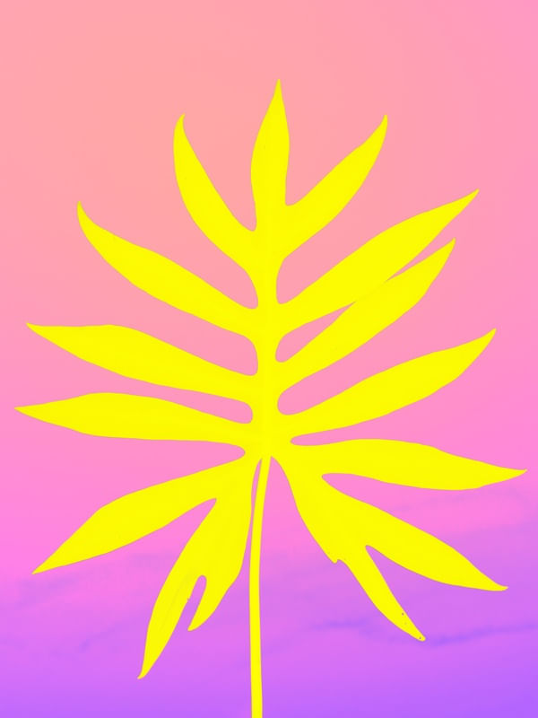 FLORAL POP ART