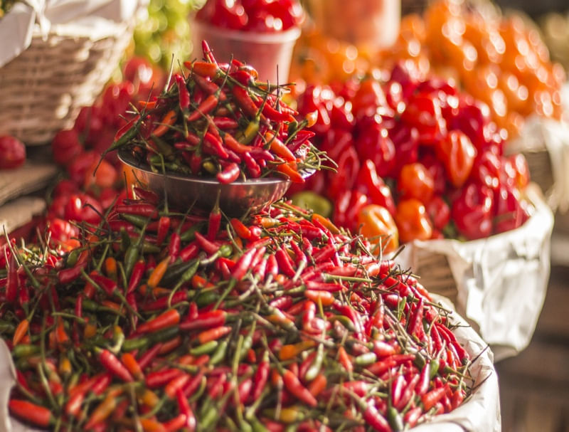 FEIRA - PIMENTA VERMELHA