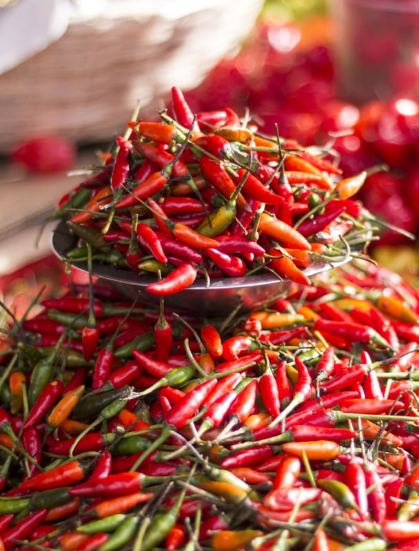 FEIRA - PIMENTA VERMELHA II