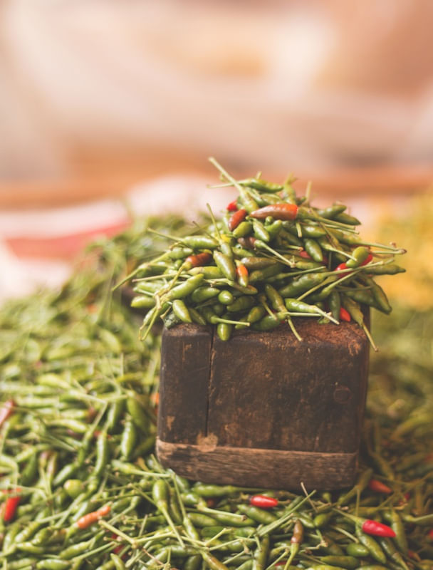 FEIRA - PIMENTA MALAGUETA