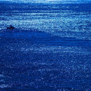 BLUE AND BLUE III