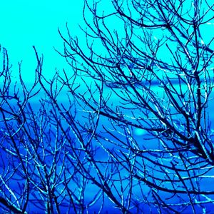 BLUE AND BLUE IV