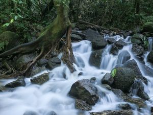 CACHOEIRA DE NEVE