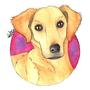 LOLA DOG 2