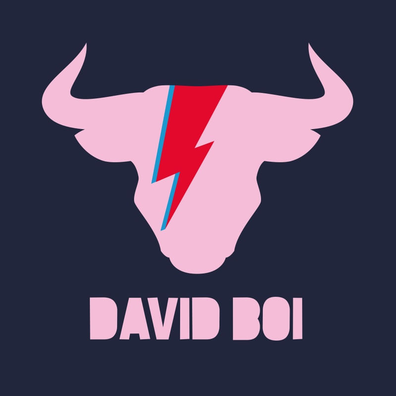 DAVID BOI