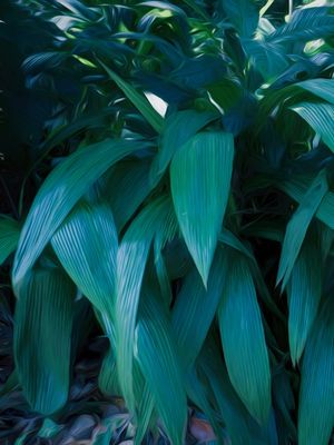 DIPTICO PALETA VERDE VOSTRO_01