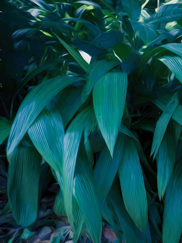 DIPTICO PALETA VERDE VOSTRO_01