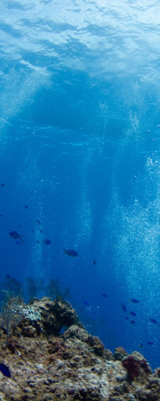 PROFUNDO NO MAR 2/3