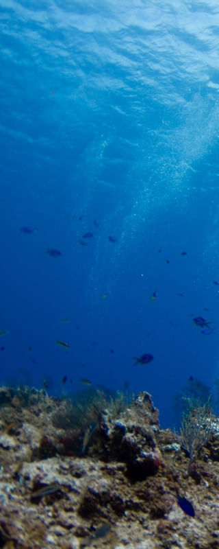 PROFUNDO NO MAR 1/3