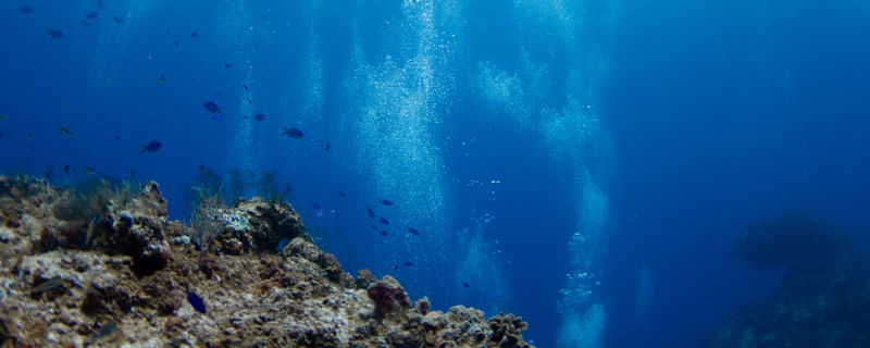 PROFUNDO EM COZUMEL 2/2