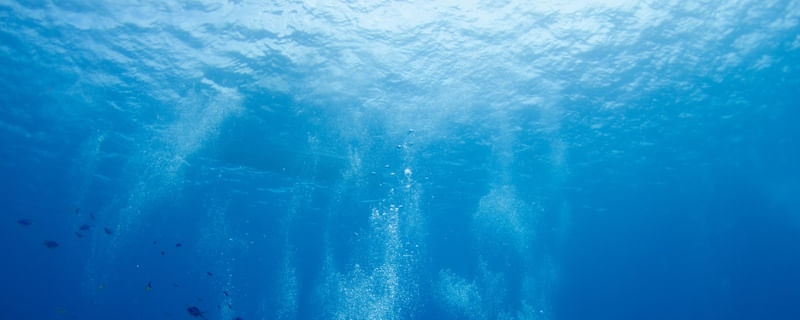 PROFUNDO EM COZUMEL 1/2