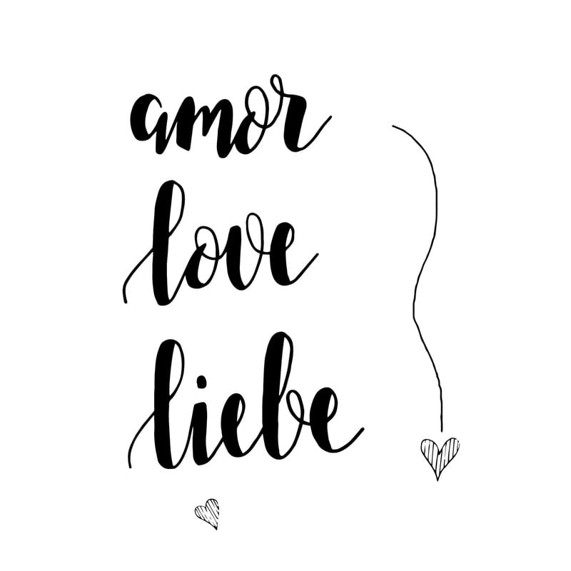 AMOR LOVE LIEBE