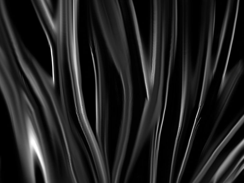 ABSTRATO P&B