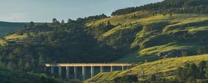 PONTE NA NATUREZA
