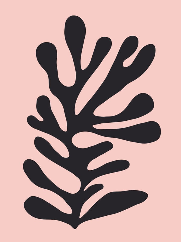 ILUSTRAÇÃO ORGÂNICA II