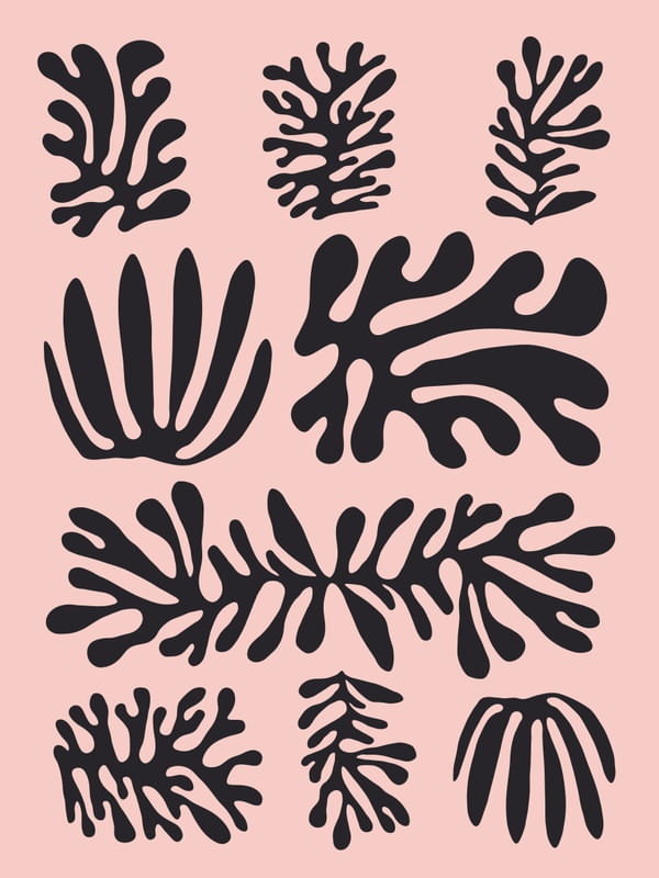 ILUSTRAÇÃO ORGÂNICA IV