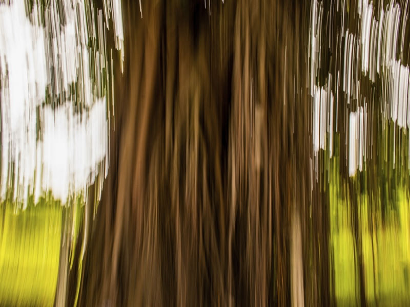 NATUREZA EM LOOPING