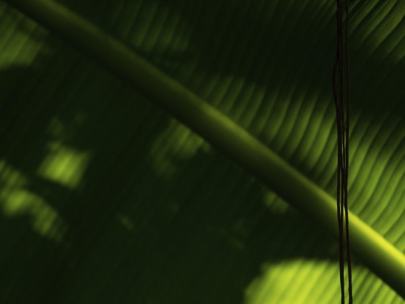 GEOMETRIA EM FOLHA