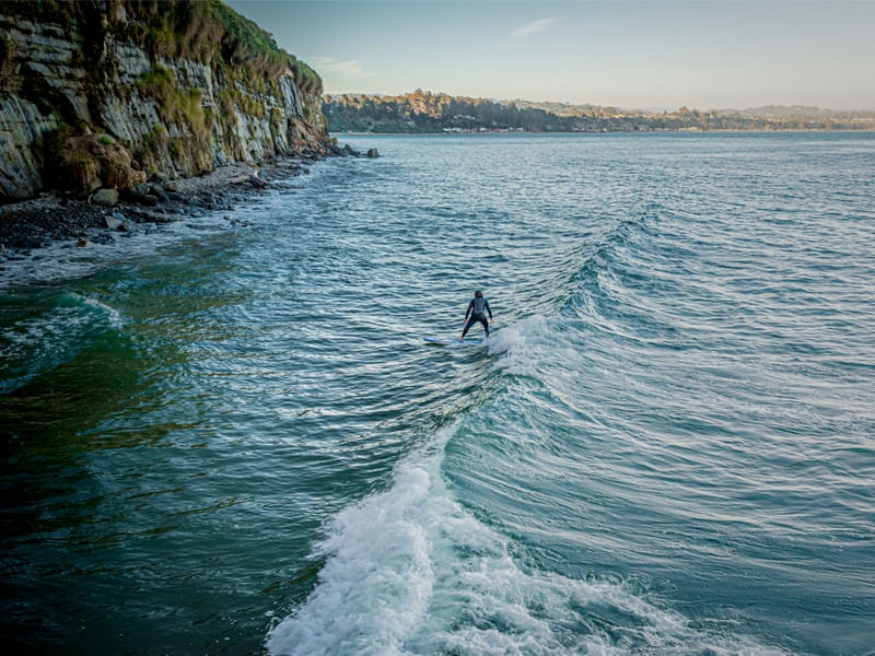 SURF #01