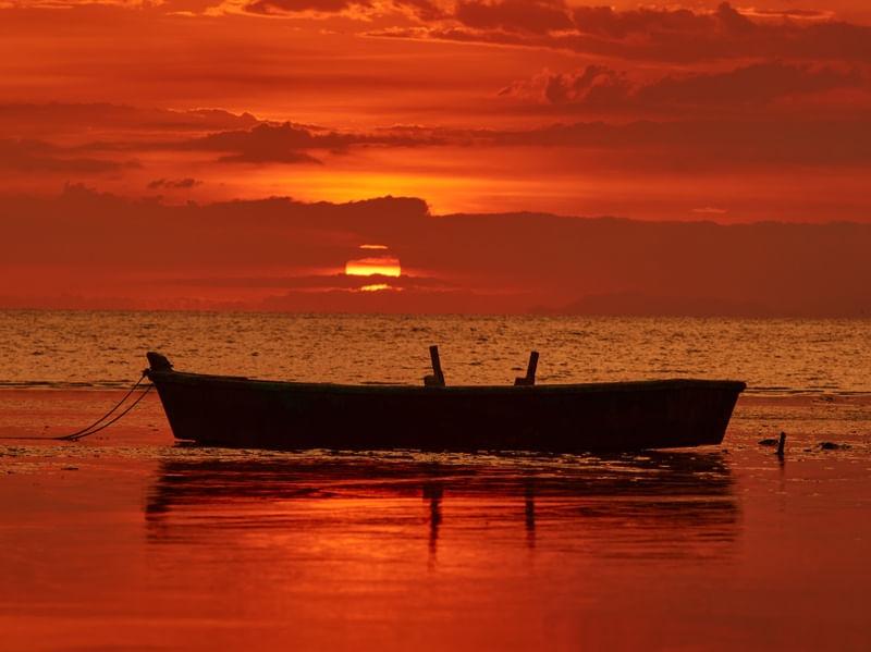 PÔR DO SOL DOURADO