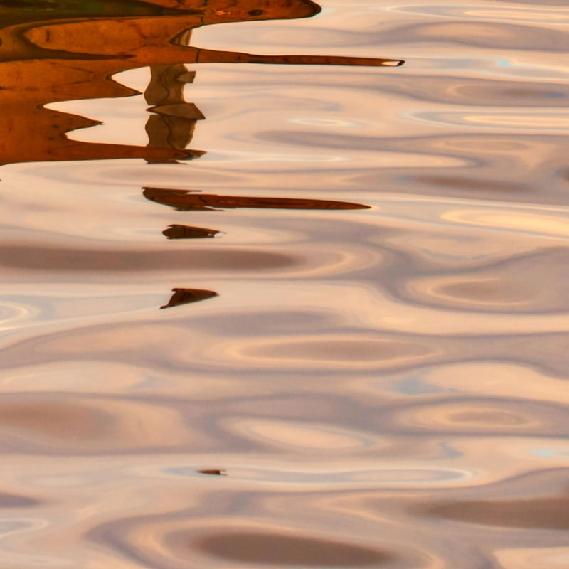REFLEXO NA ÁGUA - ROSÉ