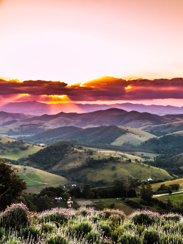 LAVANDÁRIO POR DO SOL DIPTICO 1