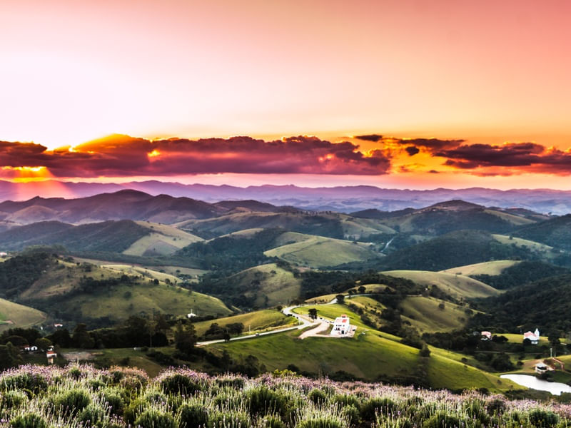 LAVANDÁRIO SUNSET 2