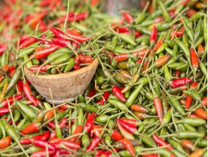 PIMENTA MALAGUETA - FEIRA