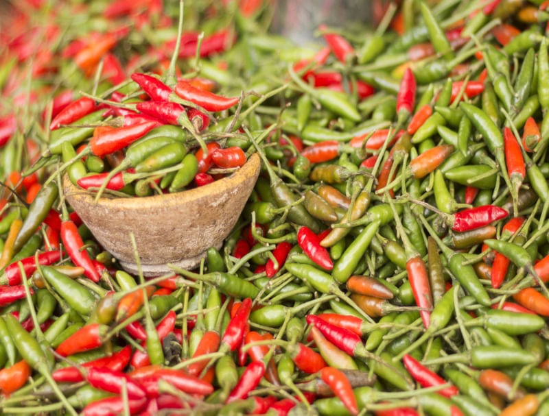 PIMENTA MALAGUETA - FEIRA