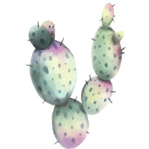 CACTO AQUARELADO EM TONS BASICOS