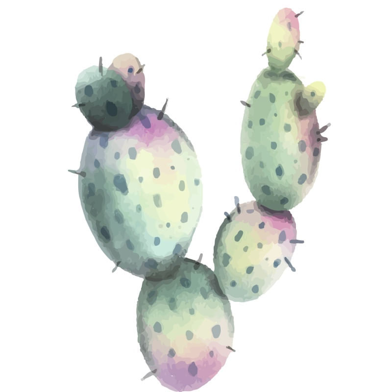 CACTO AQUARELADO EM TONS BASICOS