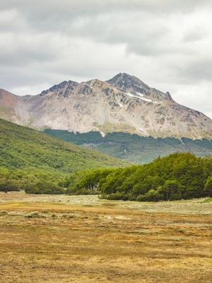 FLORESTA E MONTANHA