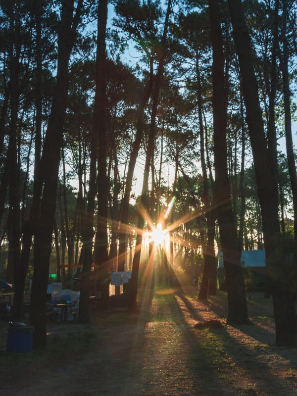 RAIOS DO SOL EM UM CAMPING