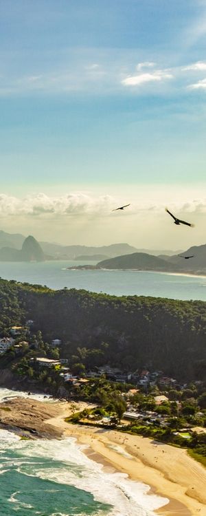 PÁSSAROS VOANDO SOBRE PRAIA